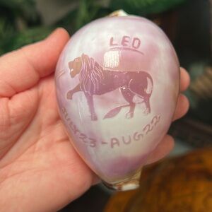 Leo Astrology Horoscope Lion Carved Cowrie Sea Shell Cameo Decor